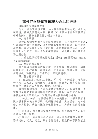 在村容村貌镇容镇貌大会上的讲话发言