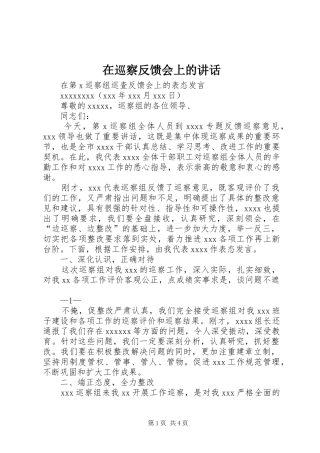 在巡察反馈会上的讲话发言