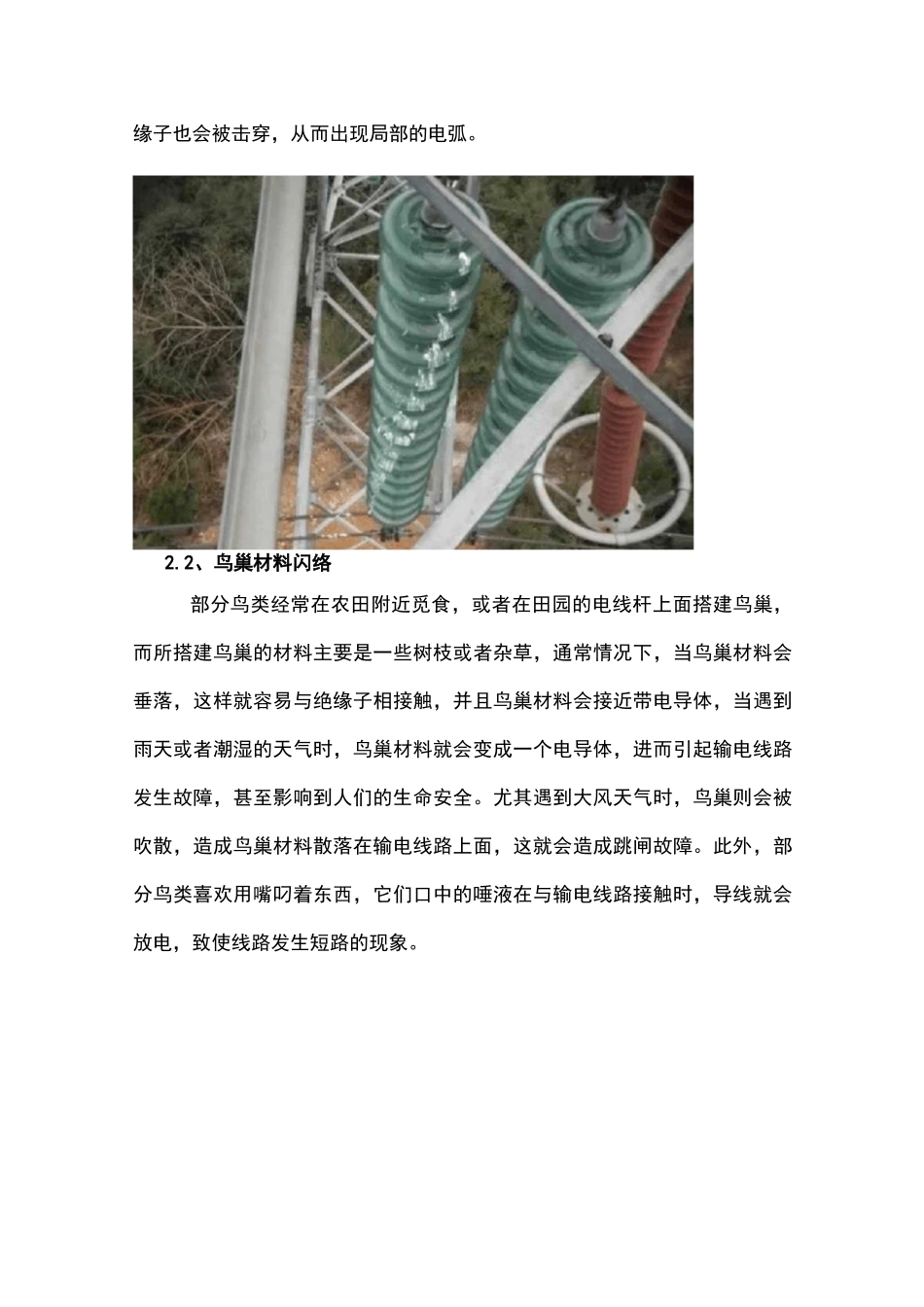 架空输电线路鸟害类型及辨识_第2页