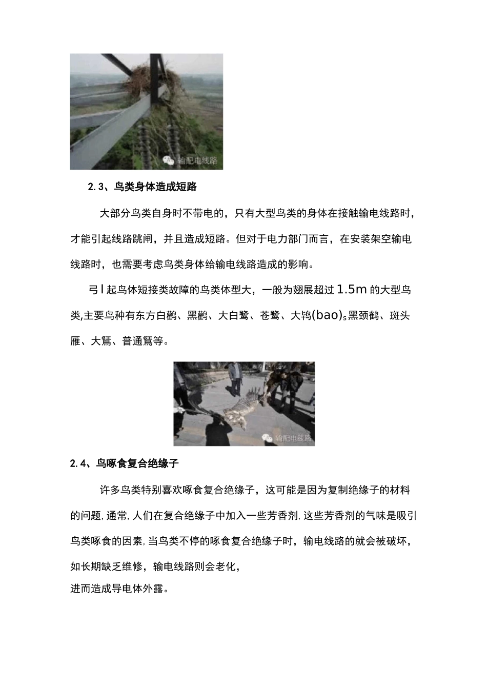 架空输电线路鸟害类型及辨识_第3页