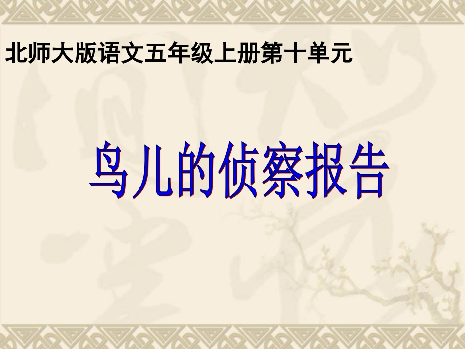 鸟儿的侦察报告_第1页