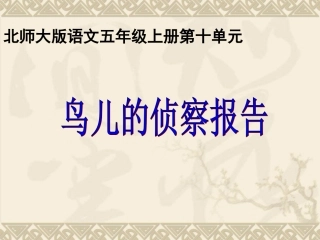鸟儿的侦察报告