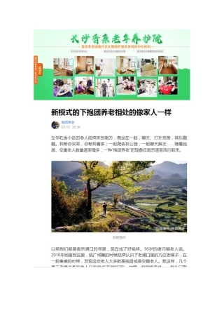 6.当地老年人生活状况调查-(2)