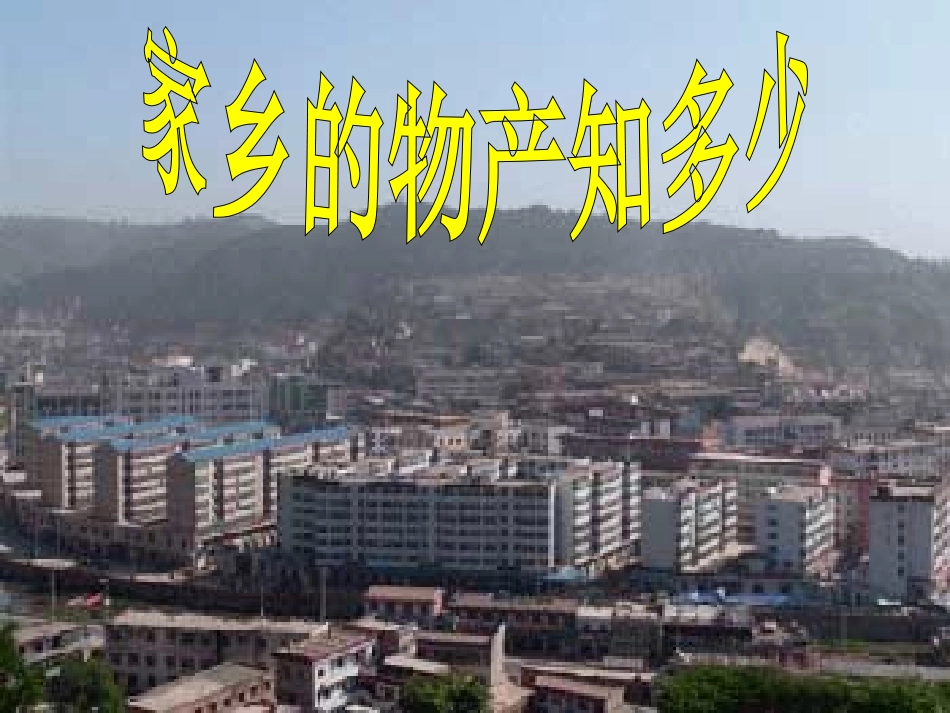 4.家乡物产知多少_第1页