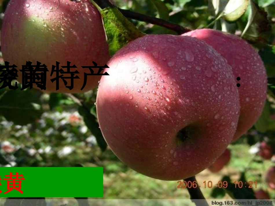4.家乡物产知多少_第2页