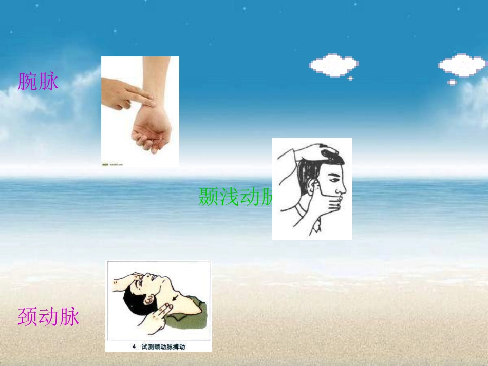 运动负荷的自我监测_第3页