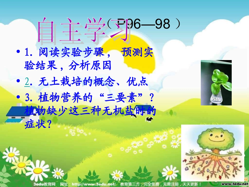 科学·技术·社会-无土栽培-(3)_第2页