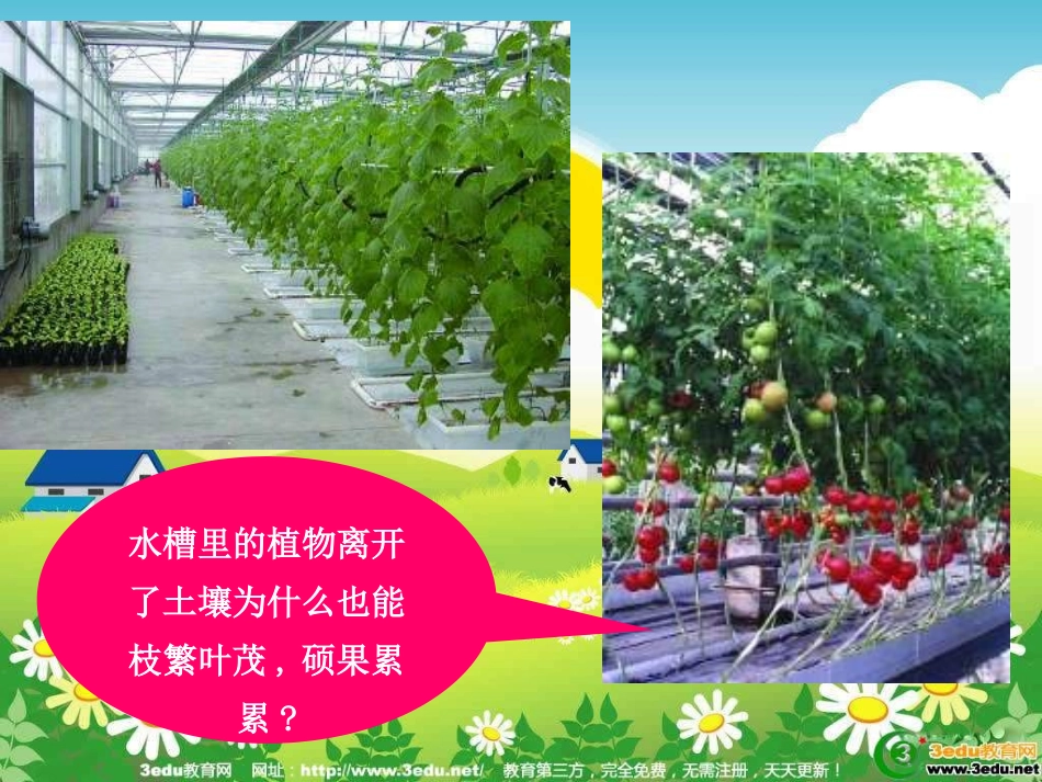 科学·技术·社会-无土栽培-(3)_第3页