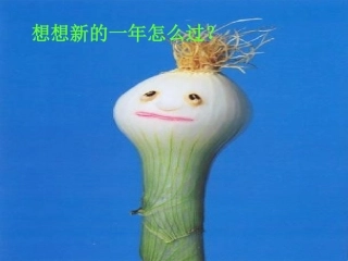 2009-新年畅想!