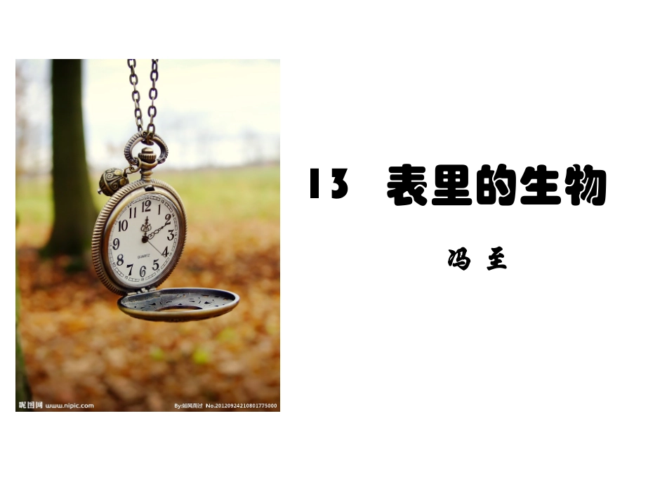 13-表里的生物-(5)_第1页