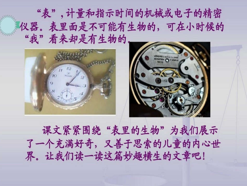 13-表里的生物-(5)_第2页