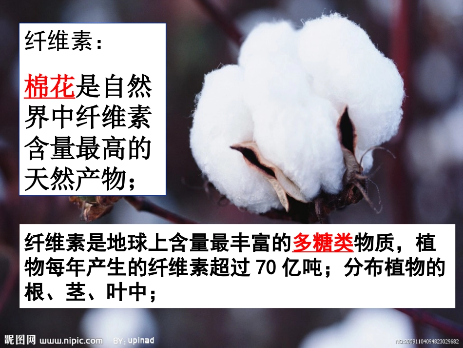 课题3-分解纤维素的微生物的分离-(5)_第2页