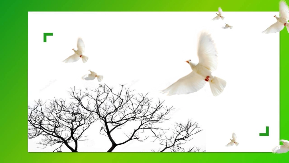 活动一-收集与交流──设计标志_第1页