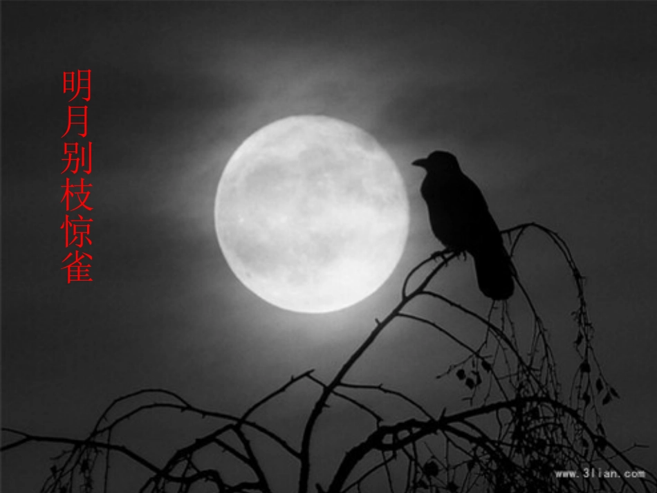 记承天寺夜游_第3页