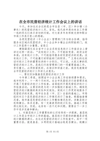在全市民营经济统计工作会议上的讲话发言
