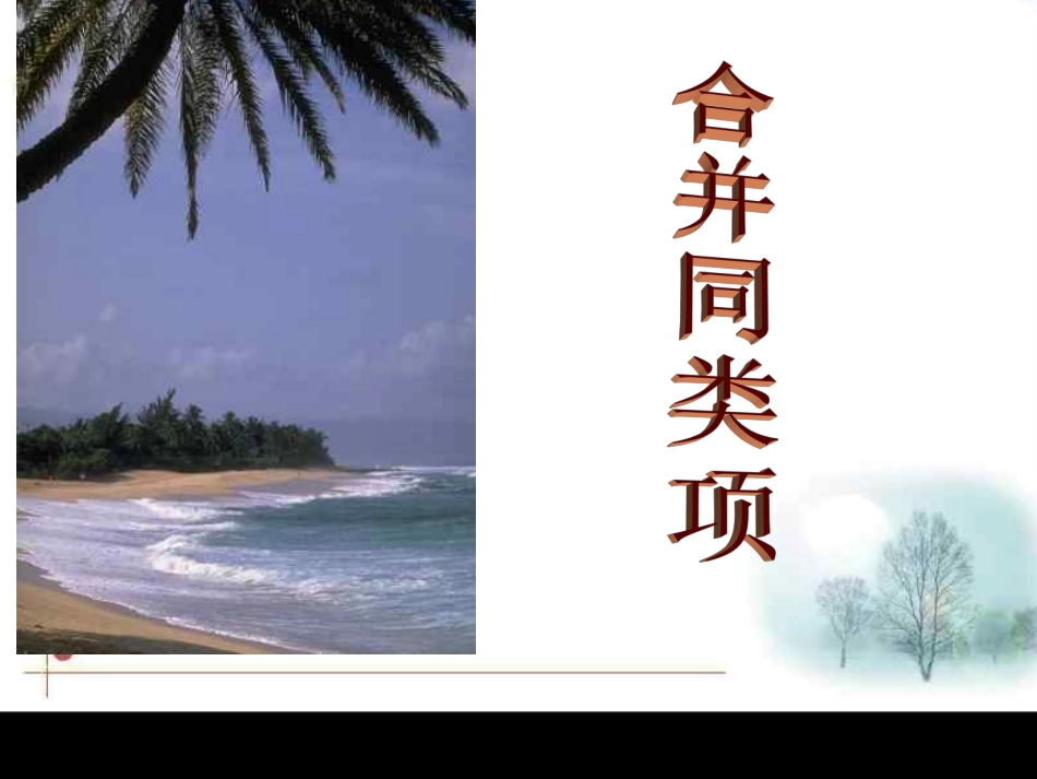 4.5合并同类项_第1页