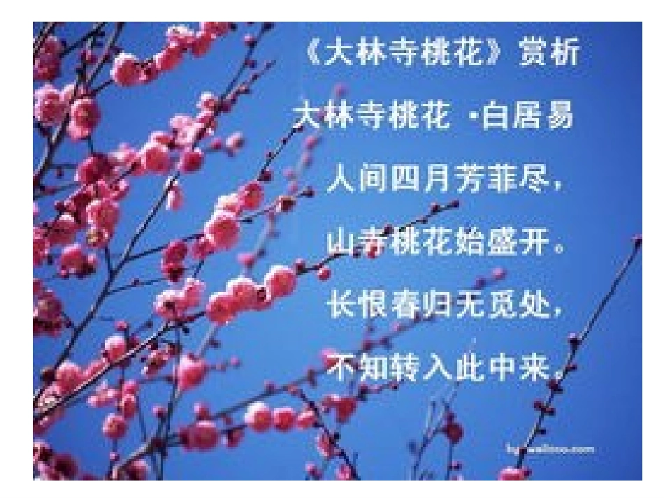 第1节地面上的植物_第2页