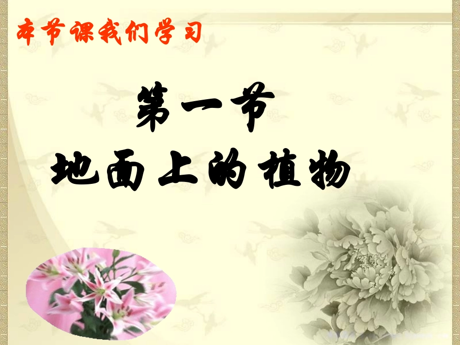 第1节地面上的植物_第3页