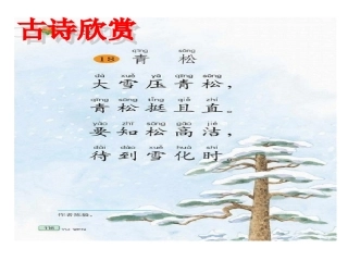 第1节地面上的植物