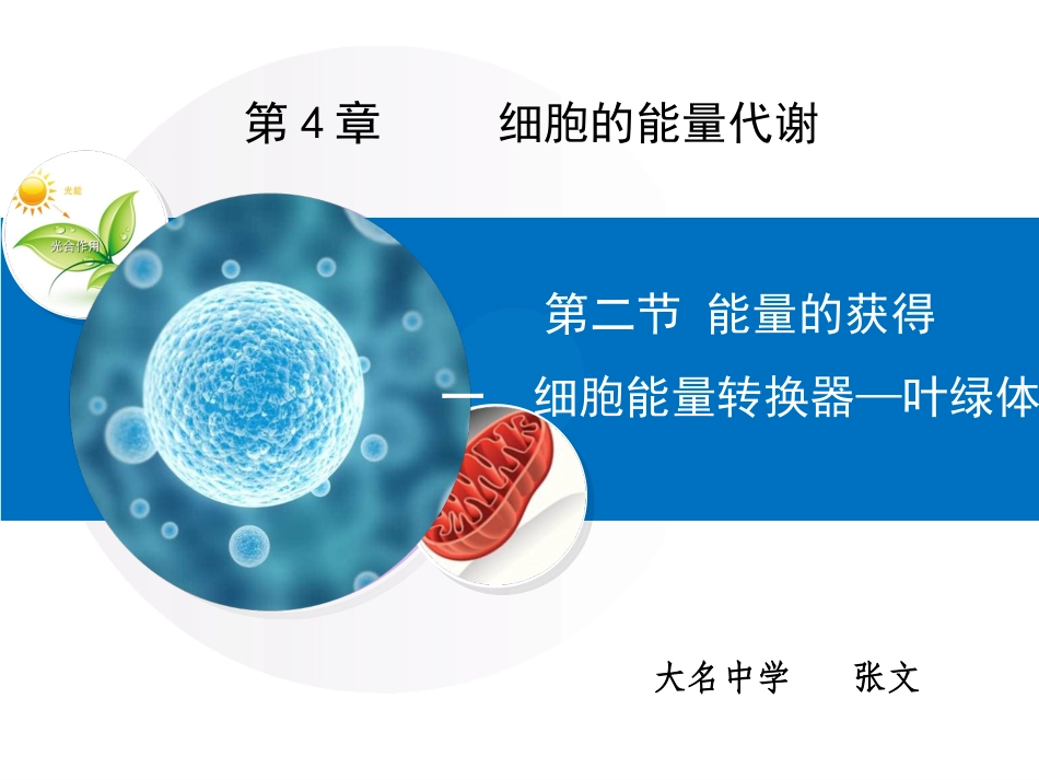一细胞能量转换器——叶绿体_第2页