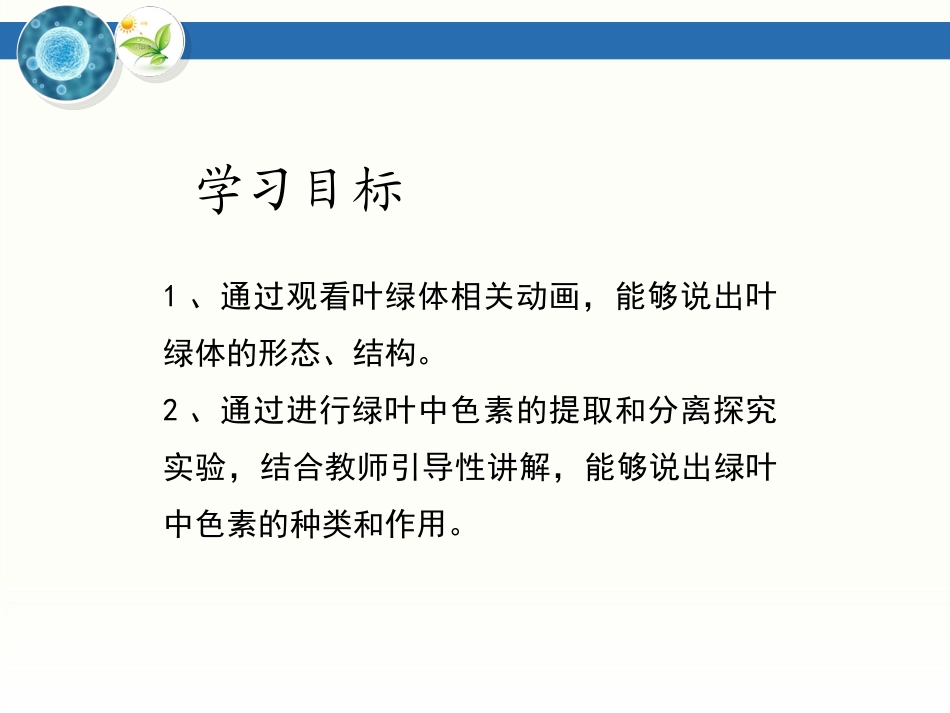 一细胞能量转换器——叶绿体_第3页