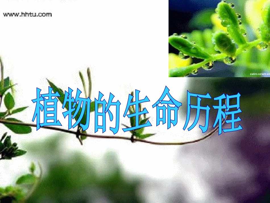 第五节光合作用和呼吸作用原理的应用_第1页