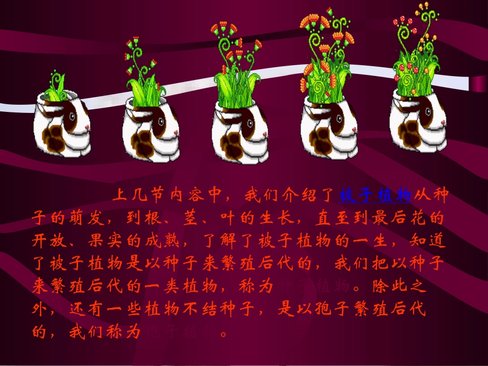 第五节光合作用和呼吸作用原理的应用_第2页