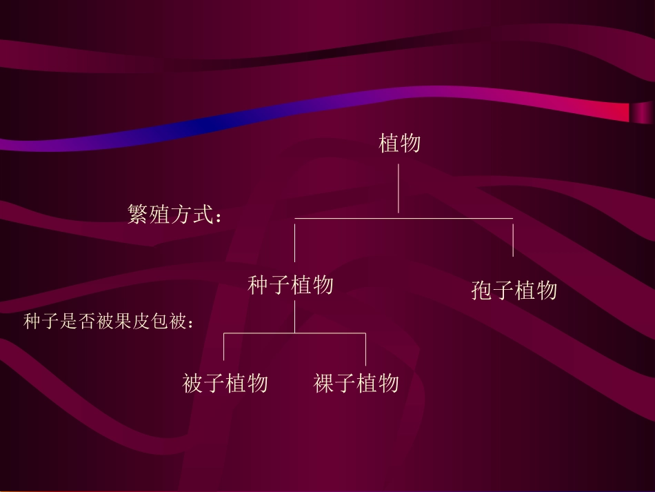 第五节光合作用和呼吸作用原理的应用_第3页