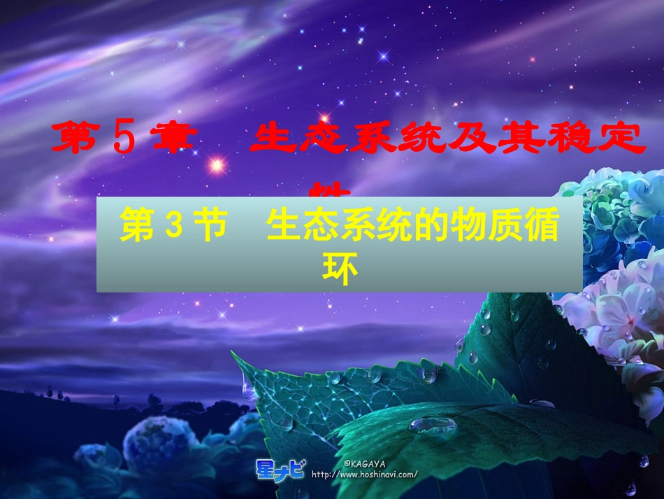 三生态系统中的物质循环_第1页