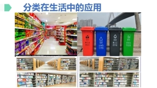 拓展性课题物质的分类-(3)