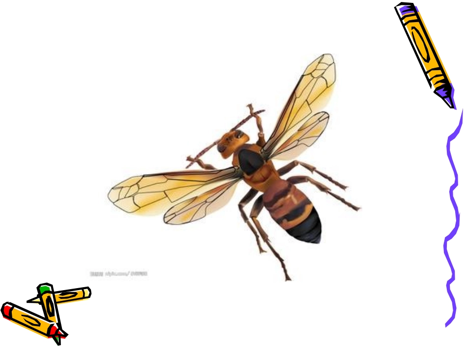 6的乘法口诀_第2页