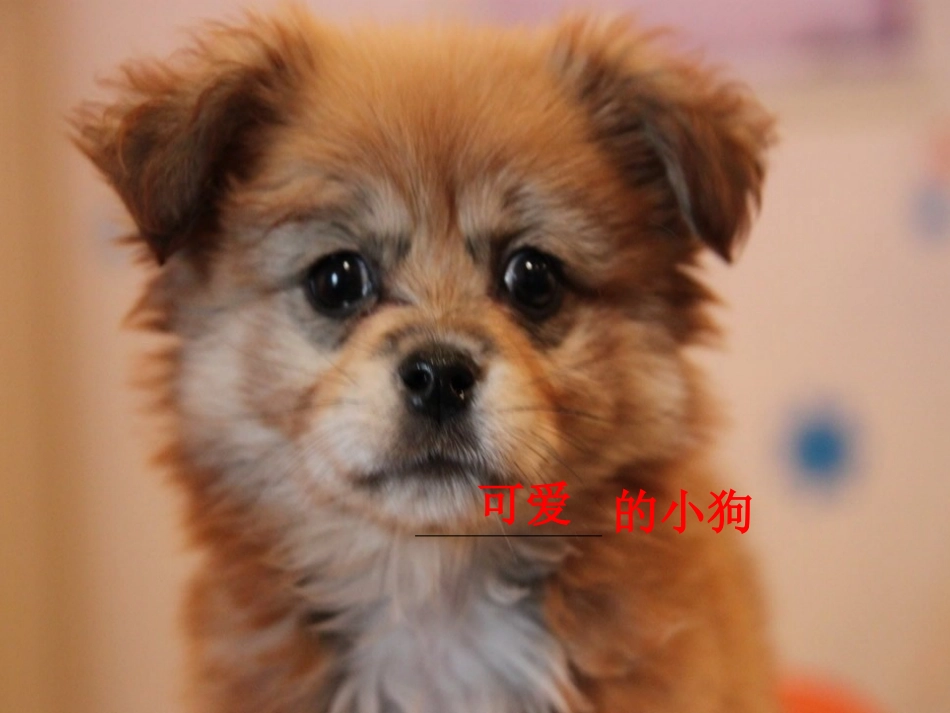 语文园地七：写话_第2页