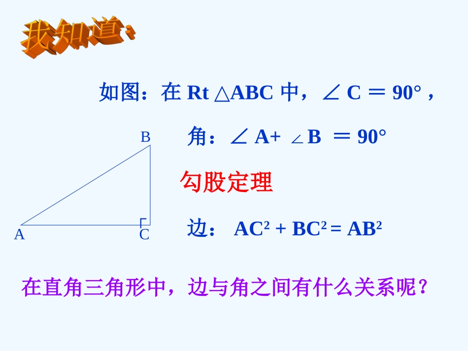锐角三角函数_第2页