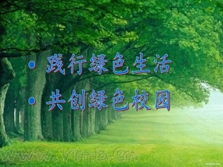 12-我的环保小搭档-(7)