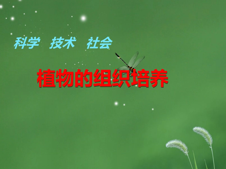 科学·技术·社会植物的组织培养_第1页