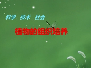 科学·技术·社会植物的组织培养