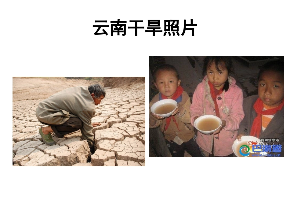 1.节约调查与行动_第3页