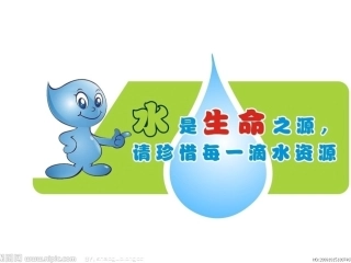 1.节约调查与行动