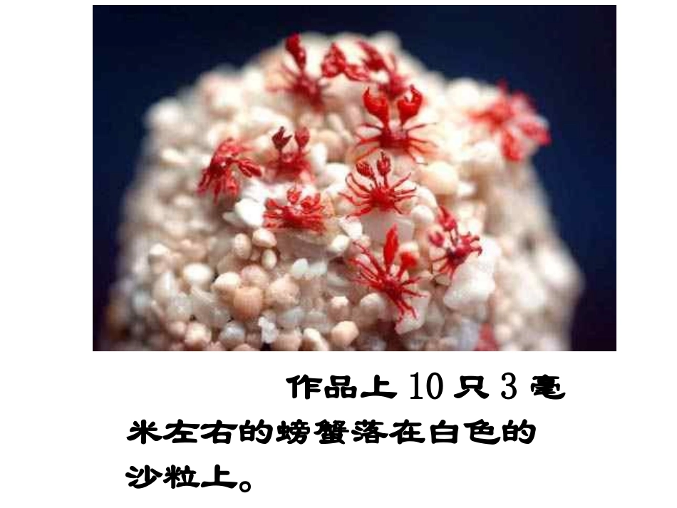 《核舟记》PPT课件_第2页