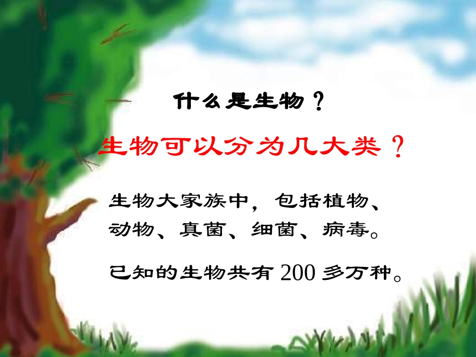 生物的基本特征_第3页