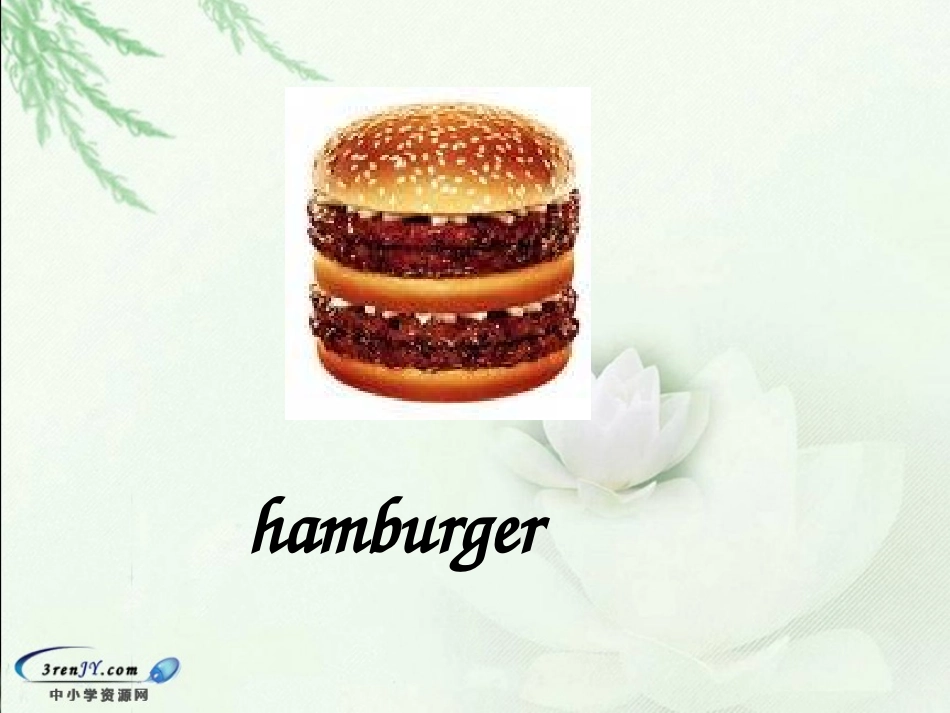 Lesson6AFamousFootballPlayer_第3页