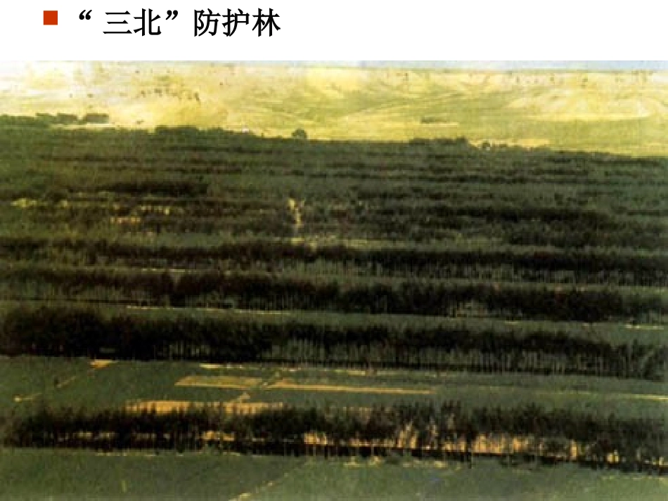 第1节人类活动对生物圈的影响-(2)_第3页