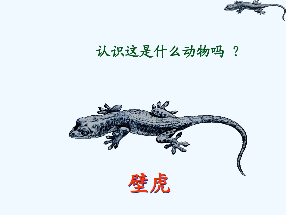 (部编)人教语文2011课标版一年级下册21《小壁虎借尾巴》_第2页
