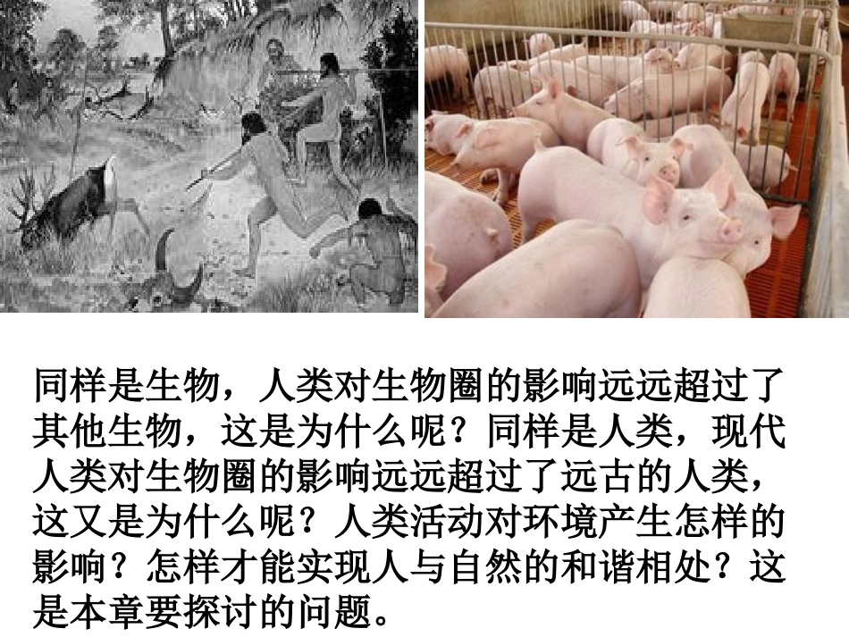 第1节人类活动对生物圈的影响_第2页