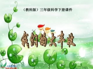 我们的大丰收