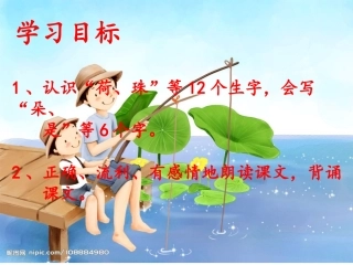 14荷叶圆圆ppt课件