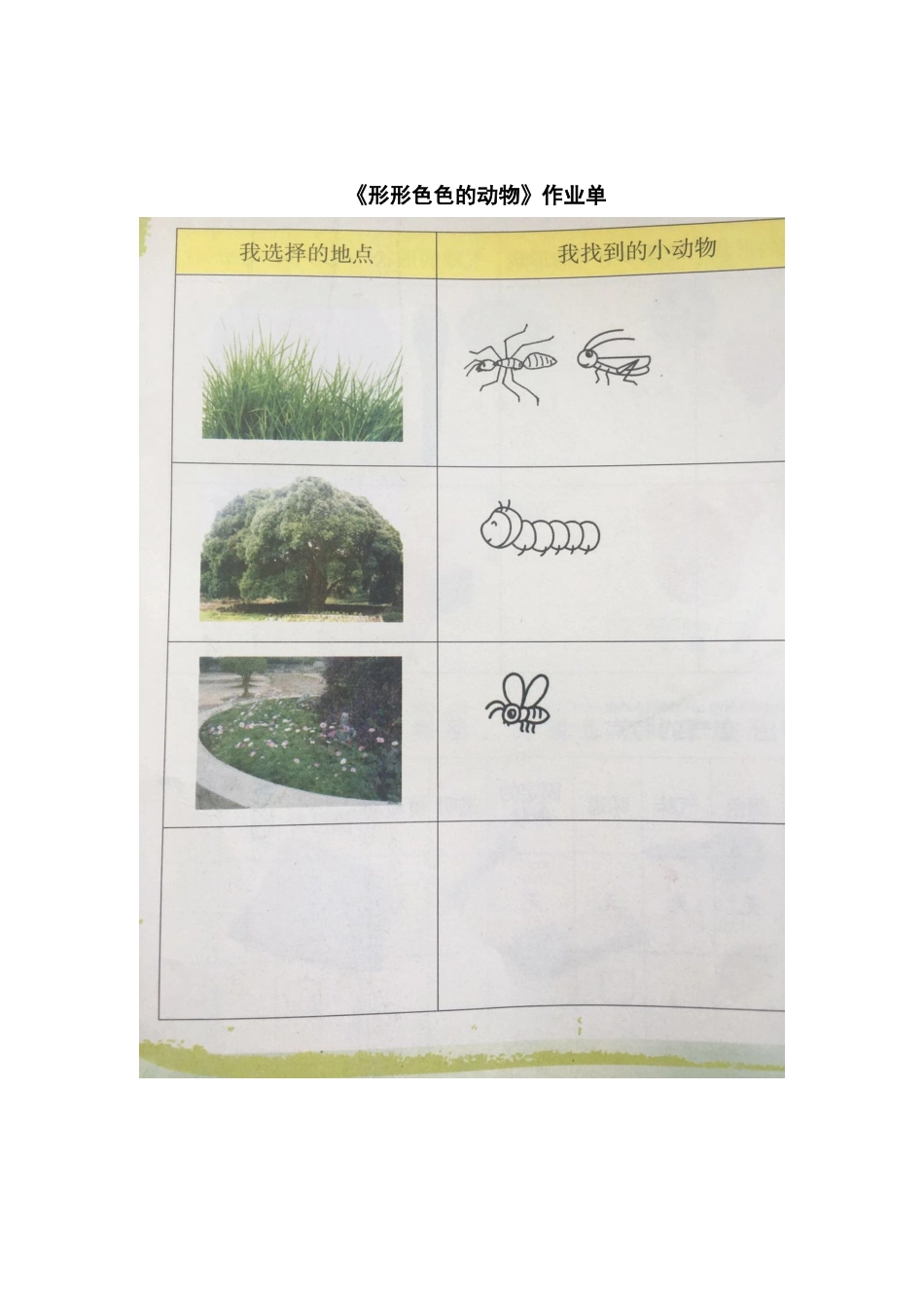 10形形色色的动物_第1页