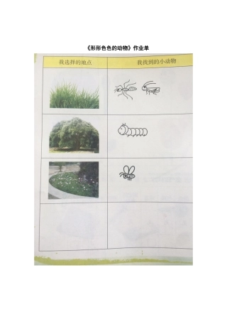 10形形色色的动物