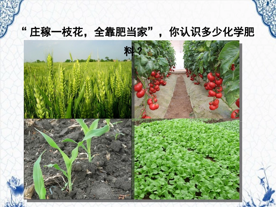 课题2-化学肥料-(2)_第2页