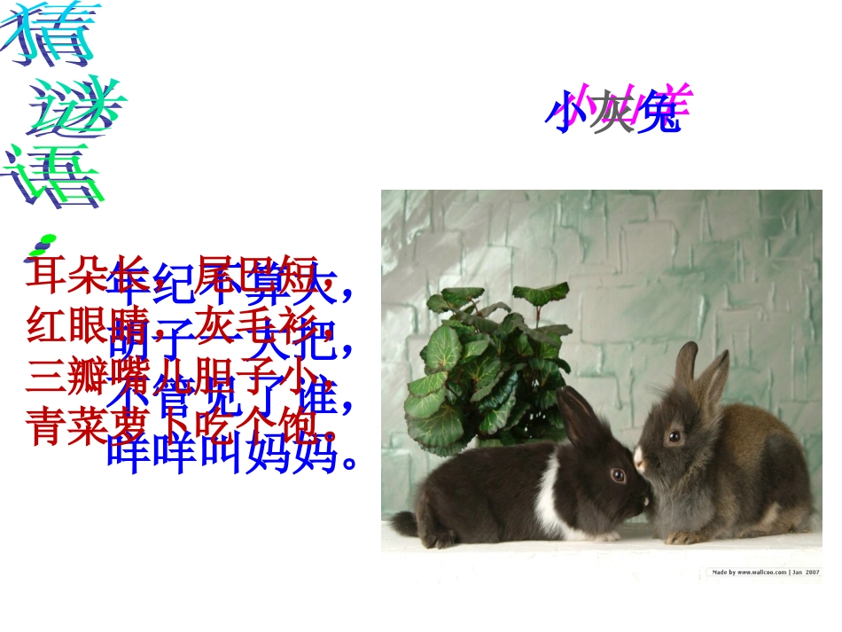 ②小山羊和小灰兔_第1页